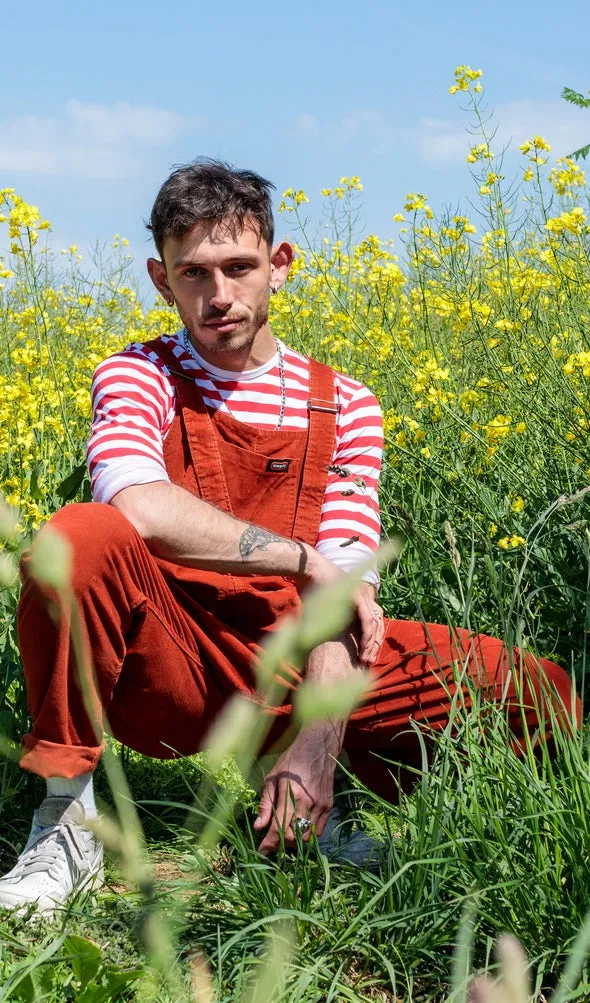 Rust Dungarees